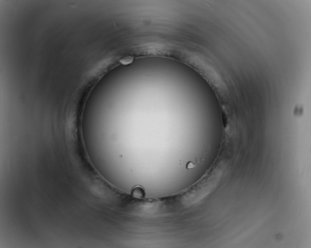 X0000103300306200808291411