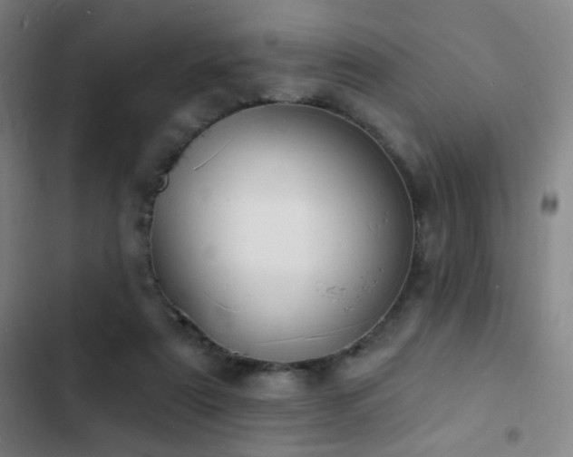 X0000103300307200808291411