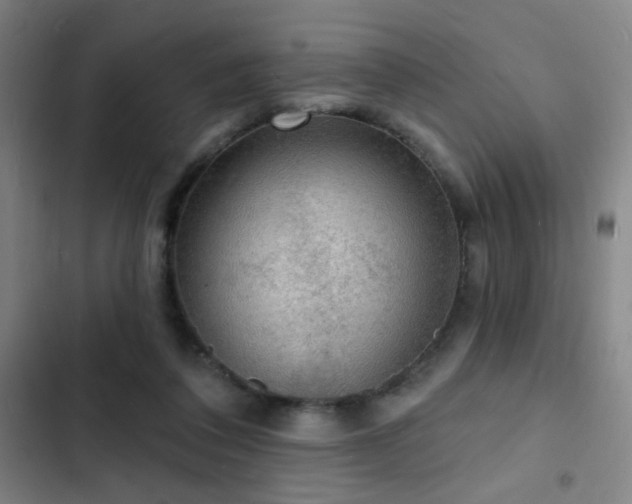 X0000103300308200808291411