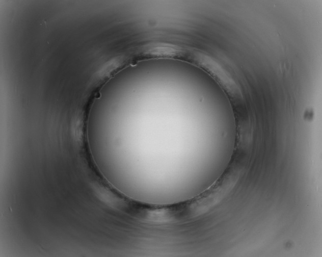 X0000103300309200808291411