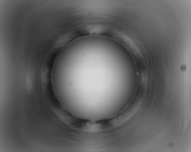 X0000103300311200808291411