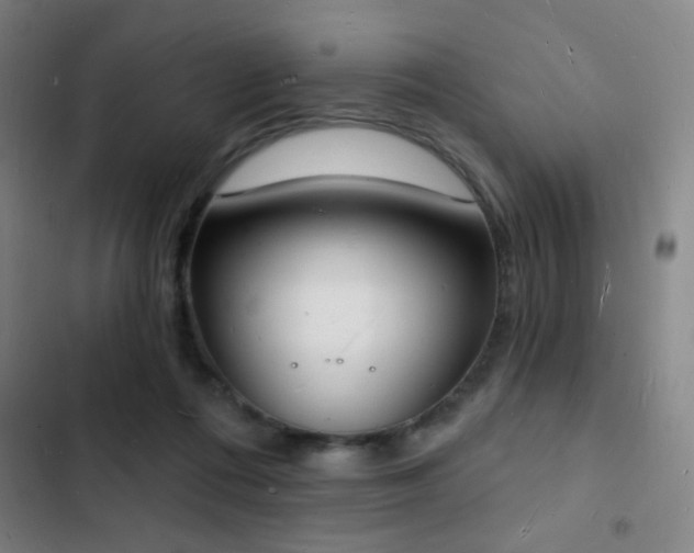 X0000103300312200808291411