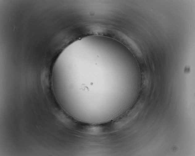 X0000103300313200808291411