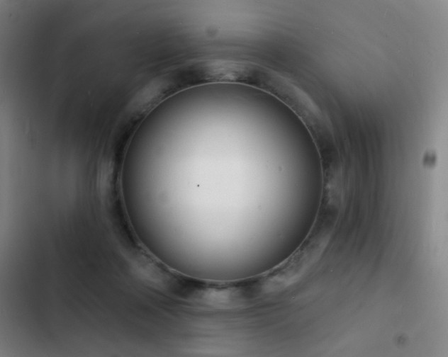 X0000103300314200808291411