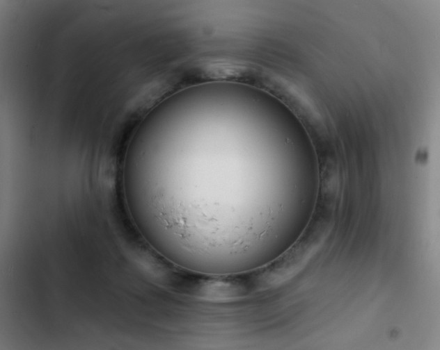 X0000103300315200808291411