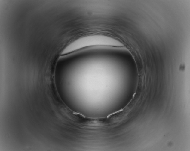 X0000103300316200808291411