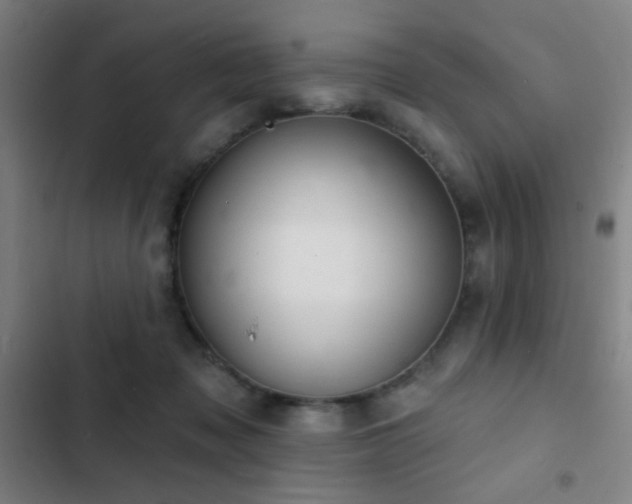 X0000103300317200808291411