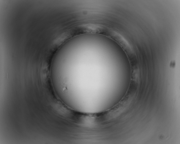 X0000103300318200808291411