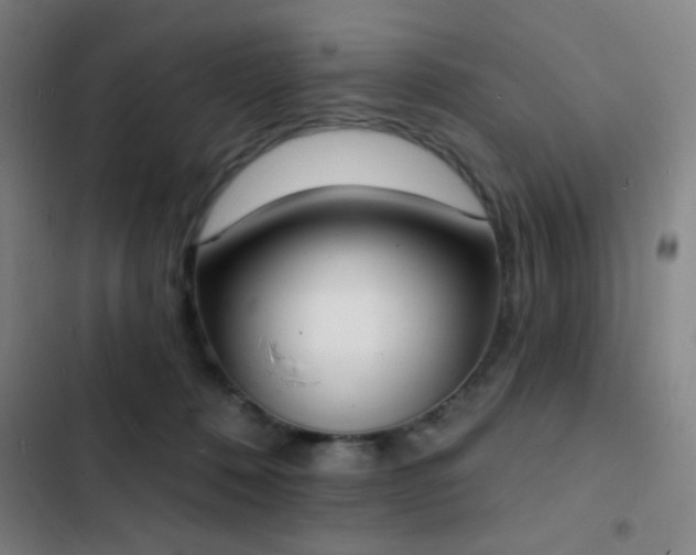 X0000103300320200808291411