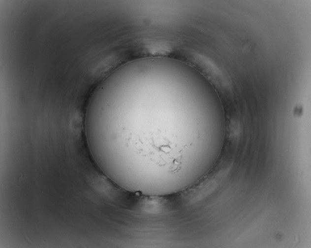 X0000103300321200808291411