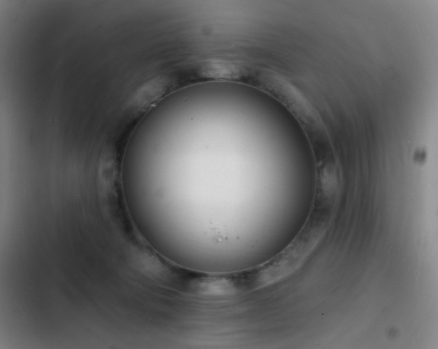 X0000103300322200808291411