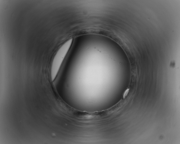 X0000103300323200808291411