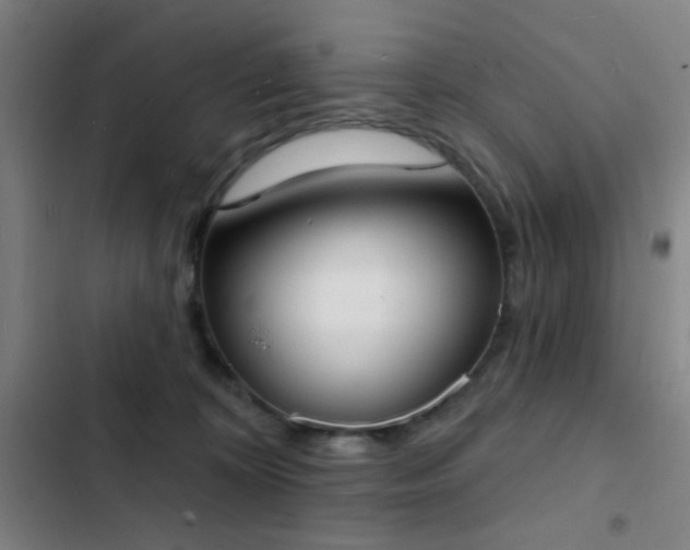 X0000103300324200808291411