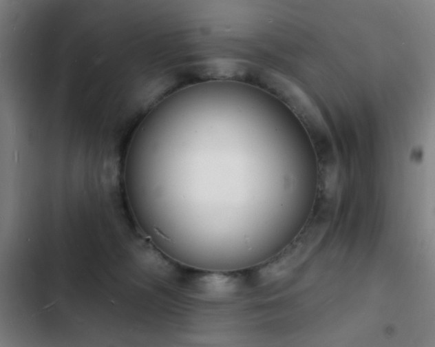 X0000103300326200808291411