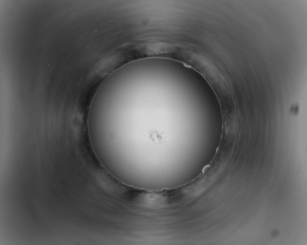 X0000103300327200808291411