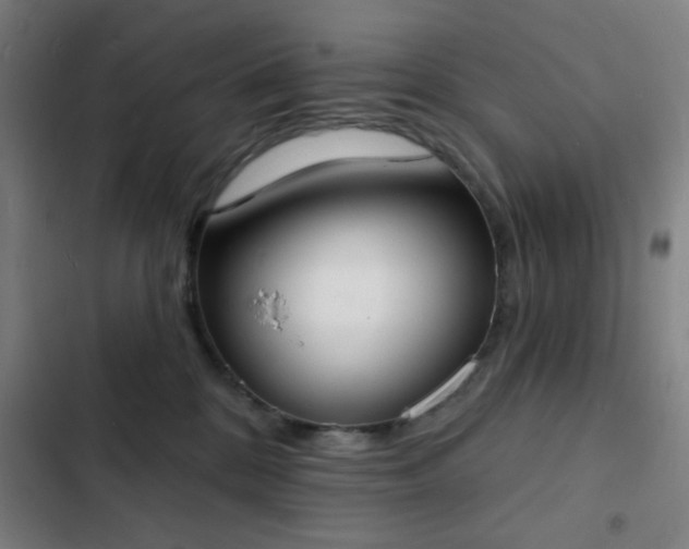 X0000103300328200808291411