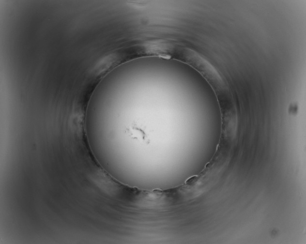 X0000103300329200808291411