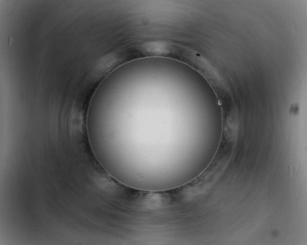 X0000103300330200808291411