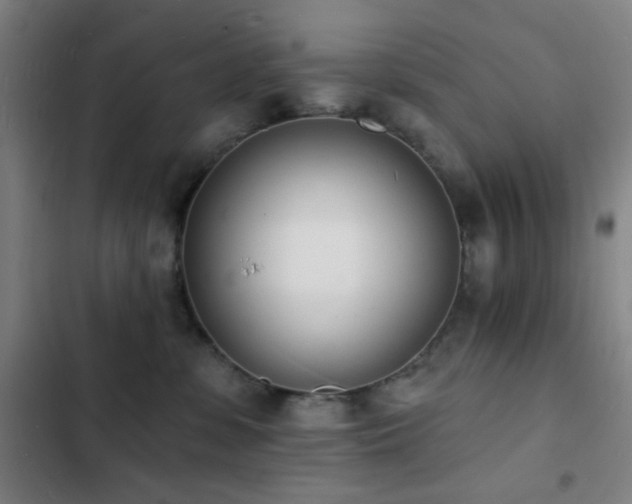 X0000103300331200808291411