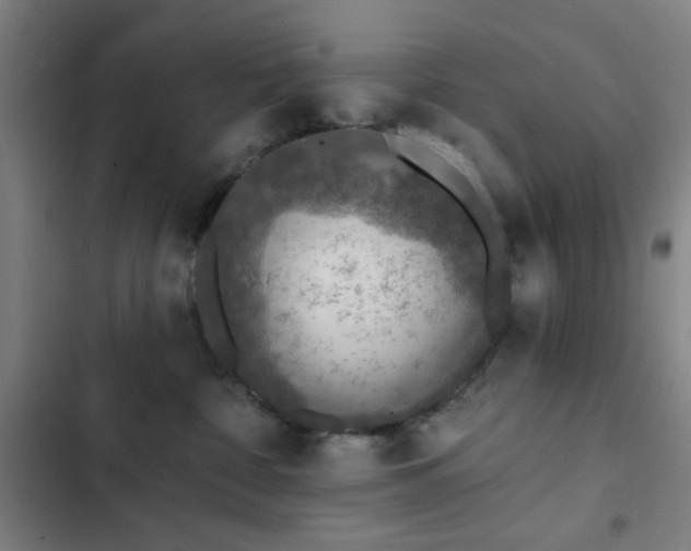 X0000103300332200808291411