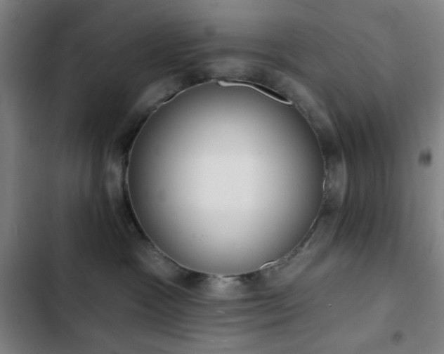 X0000103300333200808291411