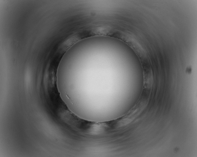 X0000103300334200808291411