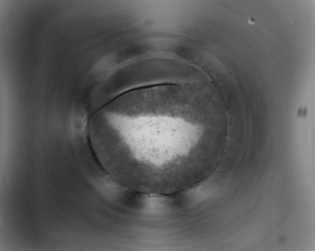 X0000103300336200808291411