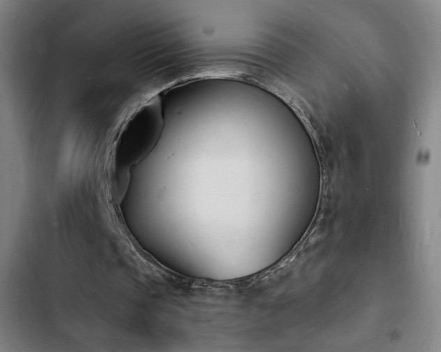 X0000103300337200808291410