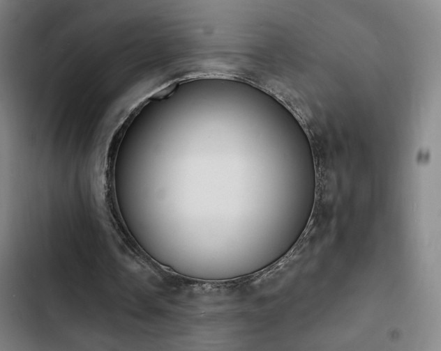 X0000103300338200808291410