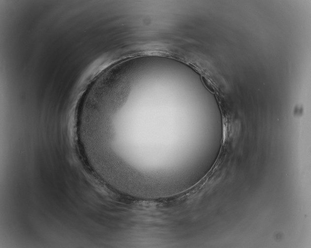 X0000103300339200808291410