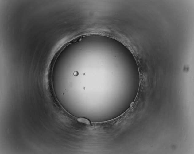 X0000103300340200808291410