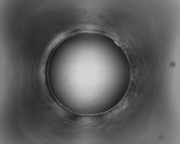 X0000103300341200808291410