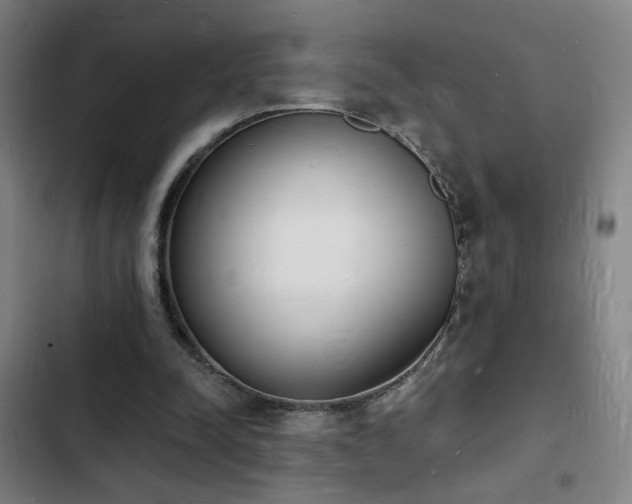 X0000103300342200808291410