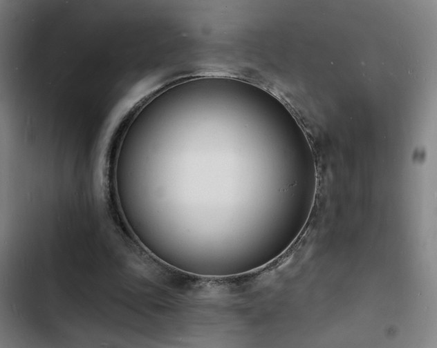 X0000103300343200808291410