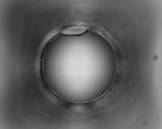 X0000103300344200808291410