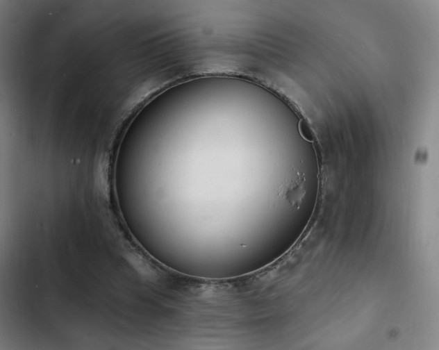 X0000103300345200808291410