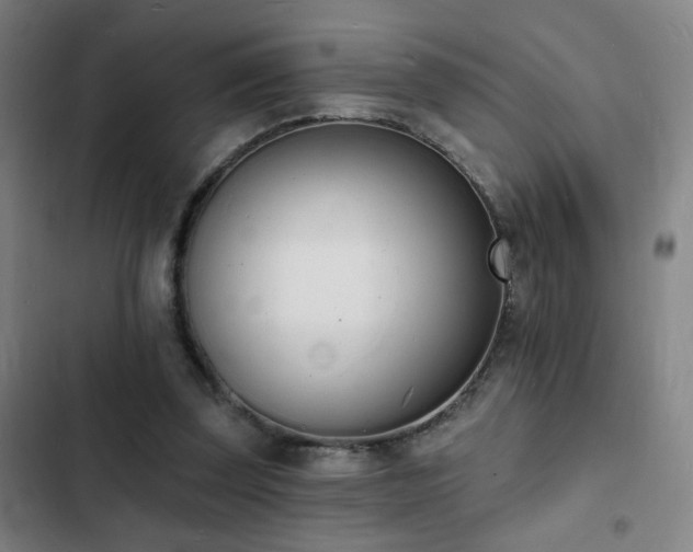 X0000103300347200808291410