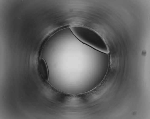 X0000103300348200808291410