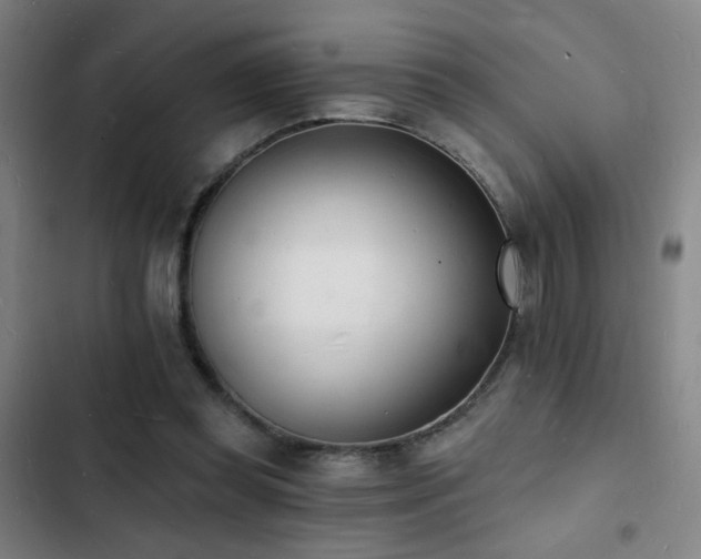 X0000103300349200808291410