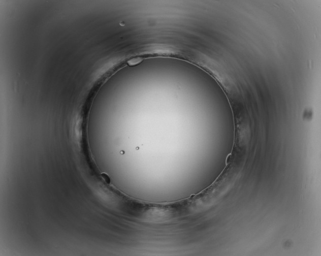 X0000103300350200808291410