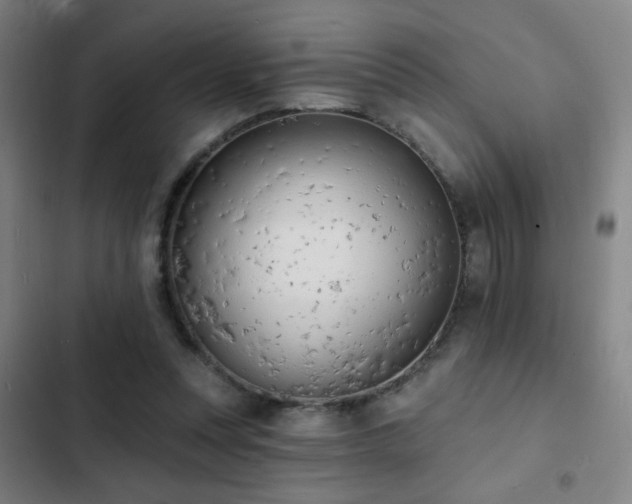 X0000103300351200808291411