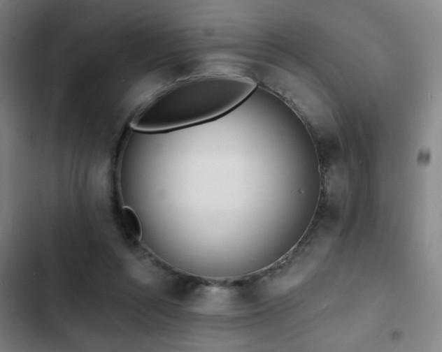 X0000103300352200808291411