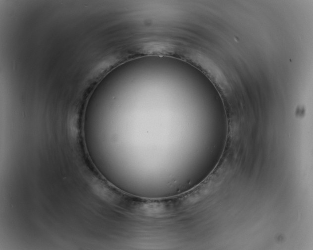 X0000103300353200808291411