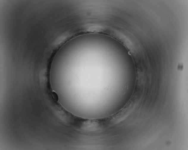 X0000103300354200808291411