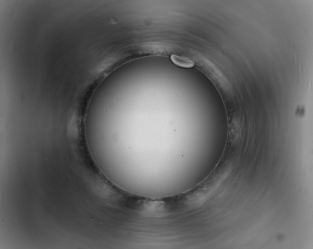 X0000103300355200808291411