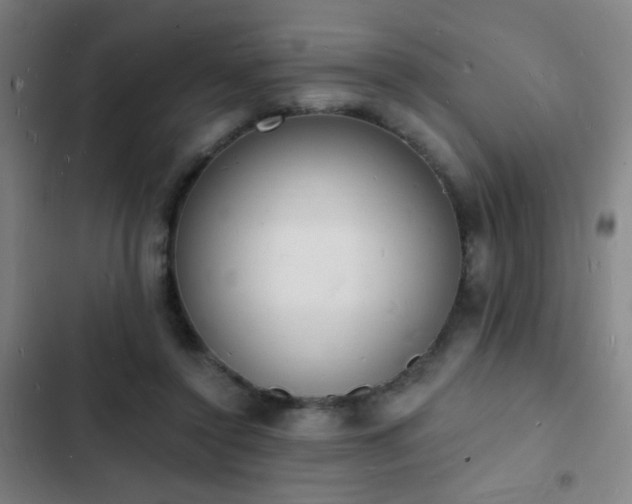 X0000103300356200808291411