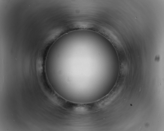 X0000103300358200808291411