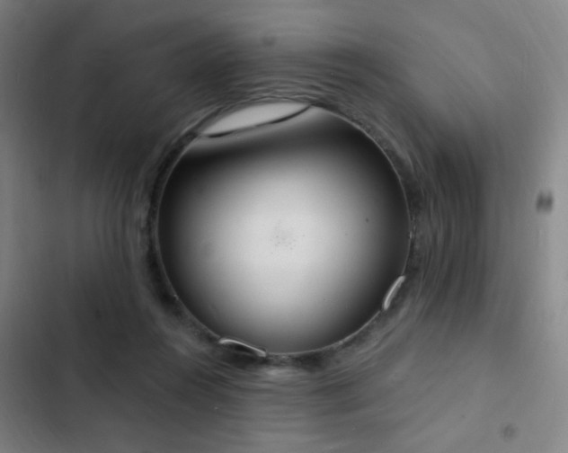 X0000103300360200808291411