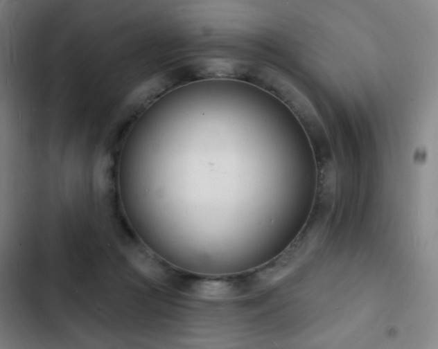 X0000103300361200808291411