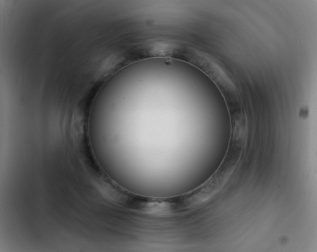 X0000103300363200808291411